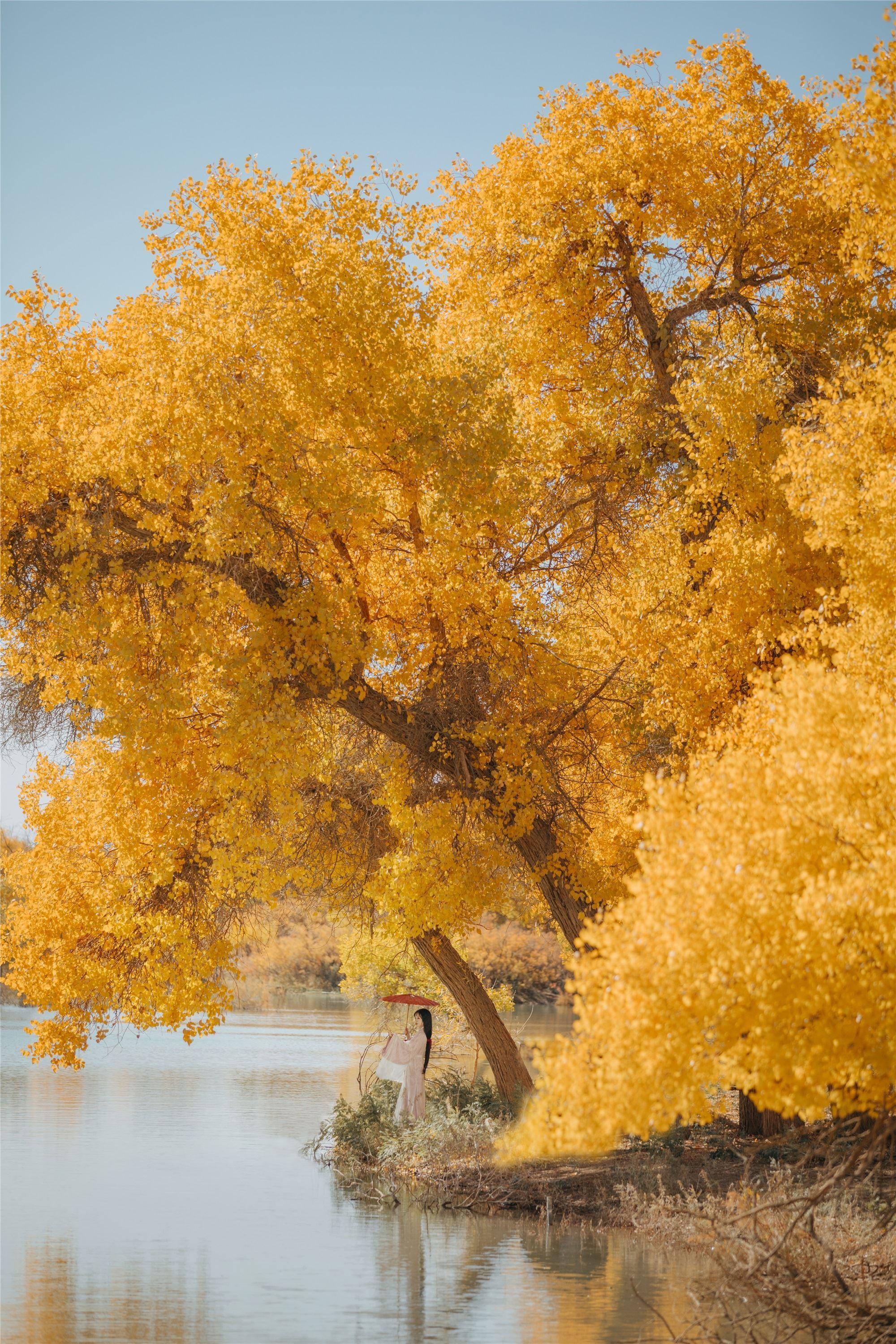 YITUYU艺图语 2021.08.16 蒹葭 薄荷
